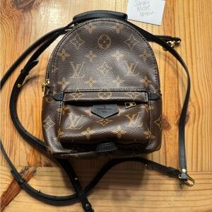 Louis Vuitton Monogram Mini Palm Springs Backpack